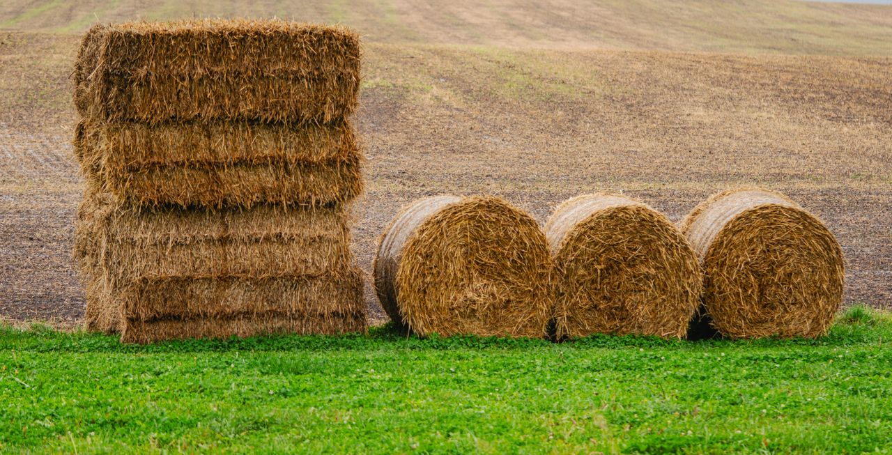 Home Hay stacks and round bales in a countryside field with green grass.