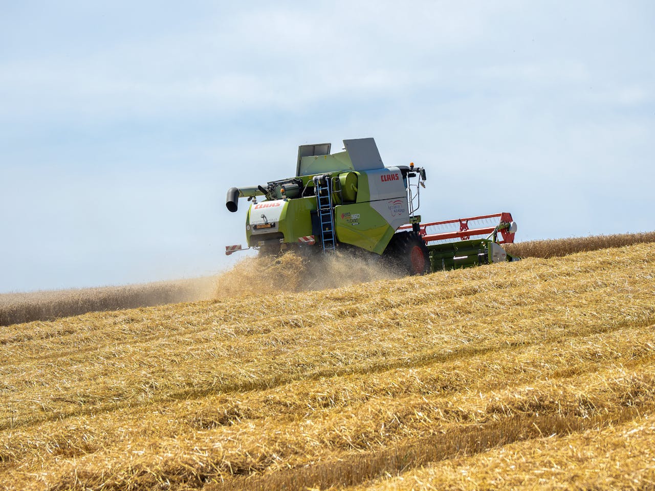 Home A combine harvester working in a golden wheat field during daytime, clear sky.